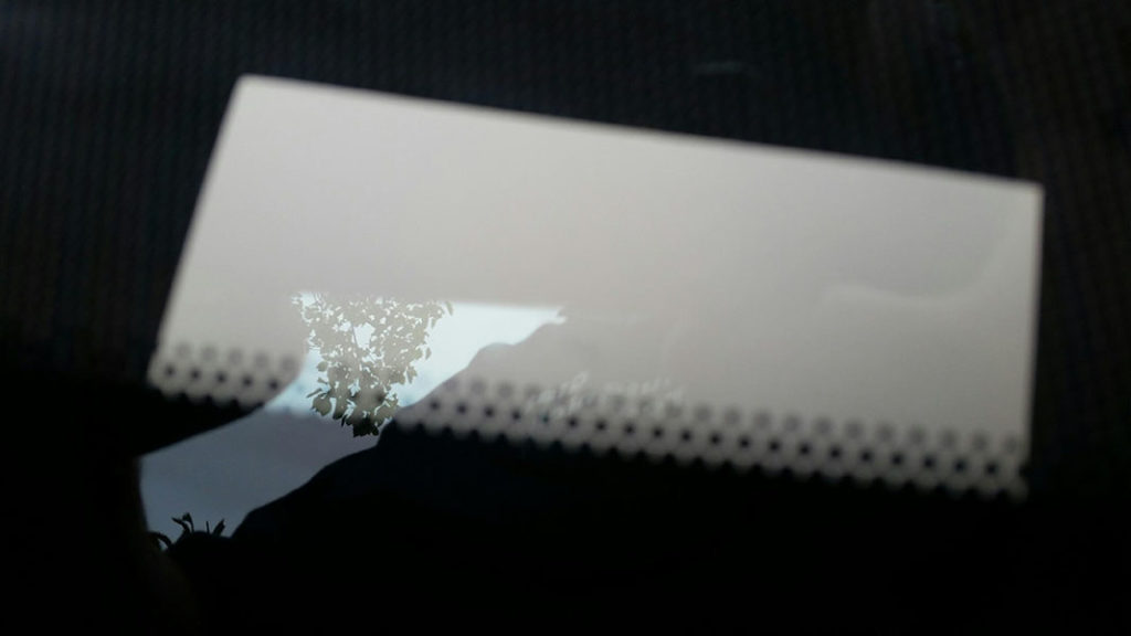 Tesla Windshield Repair • San Diego Auto Glass Repair & Replacement